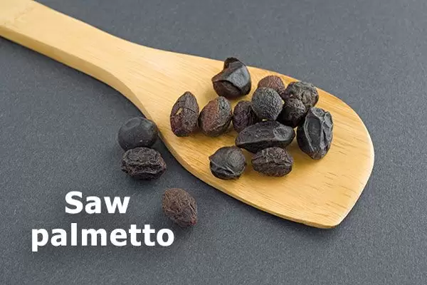 鋸棕櫚進行脱髮治療的每日建議用量