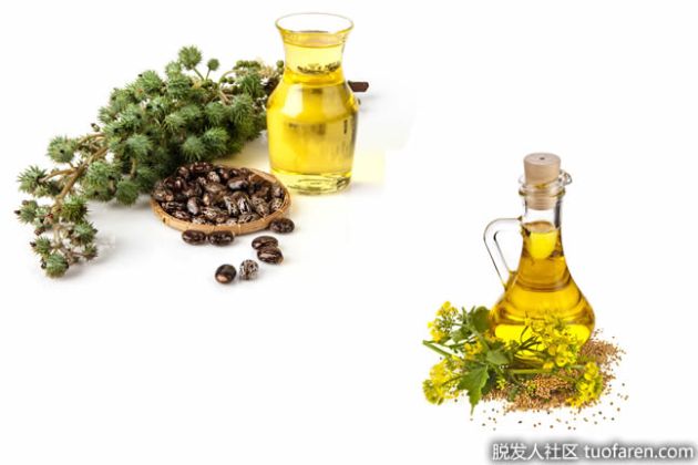 【圖】芥末油和蓖麻油怎麼塗頭髮
