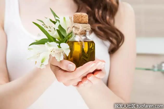 【圖】如何使用橄欖油促進頭髮生長？