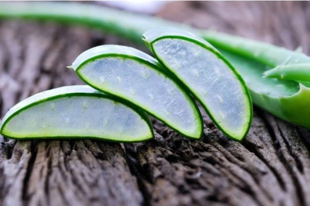 【圖】蘆薈對頭髮功效與作用