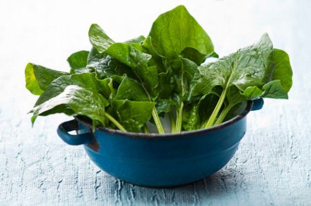 【圖】Omega 3的天然來源