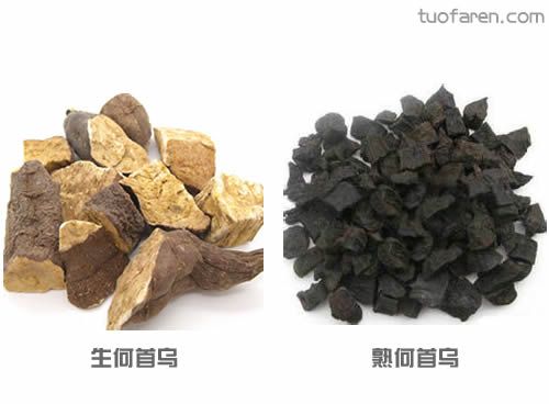 【圖】何首烏脱髮治療有妙招