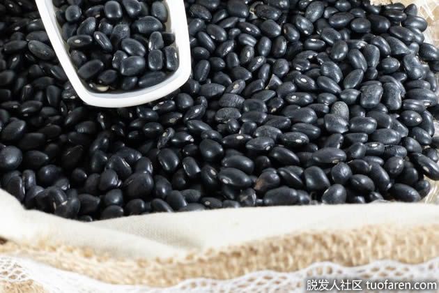 【圖】含球蛋白高的食物