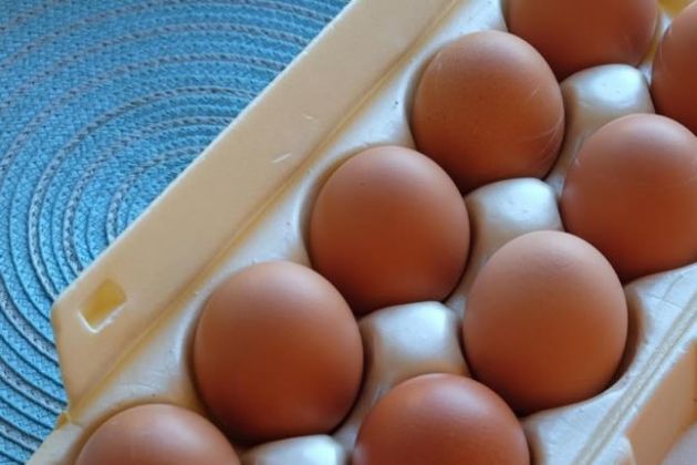 【圖】什麼是Omega-3雞蛋?