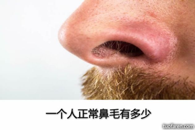 【圖】一個人正常鼻毛有多少