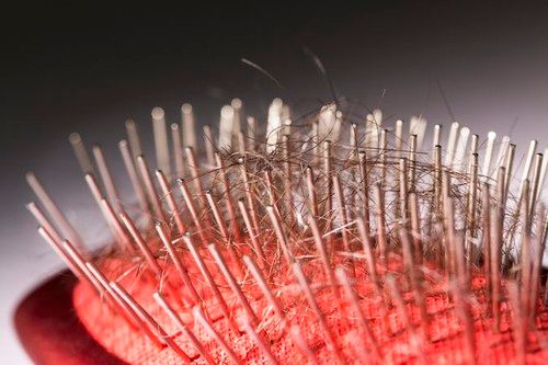 【圖】男性和女性的Rogaine差異