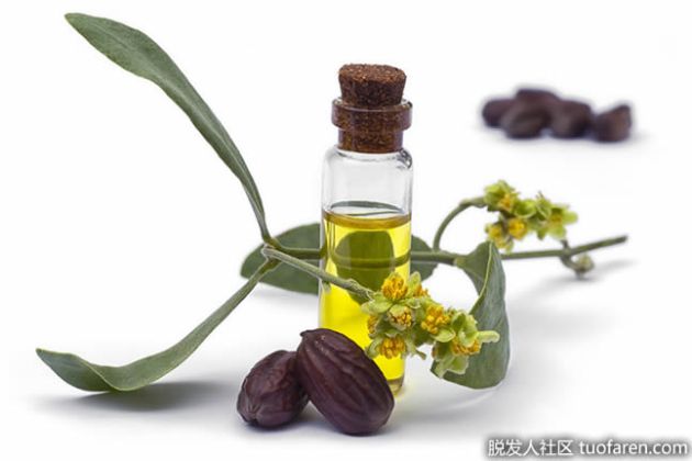 【圖】荷荷巴油的好處是什麼？