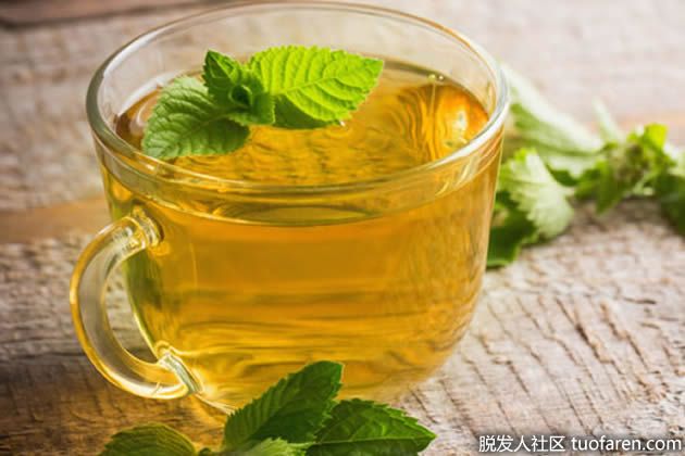 【圖】綠薄荷茶的好處