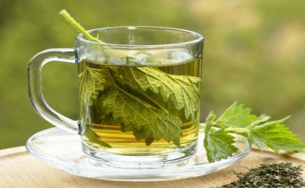 【圖】蕁麻和鋸棕櫚對頭髮的作用