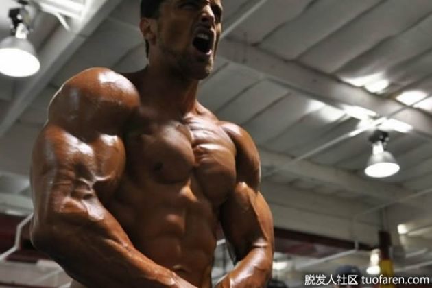 【圖】肌酸的好處是什麼？