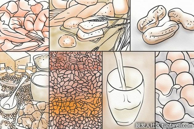 【圖】抑制DHT的方法：飲食