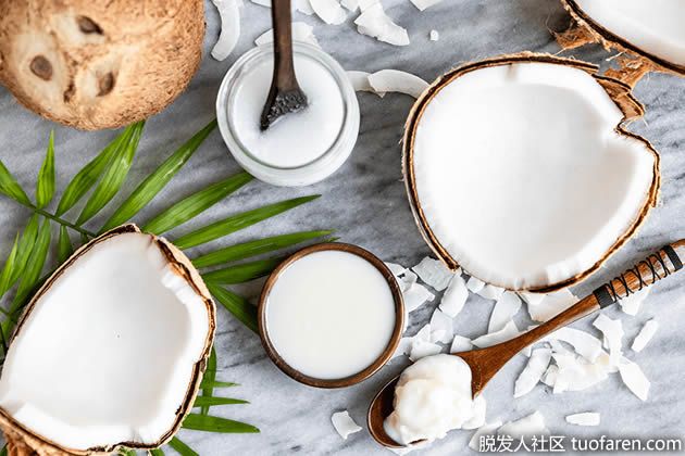 【圖】椰子油：營養成分