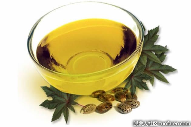 【圖】蓖麻油可以長頭髮嗎？