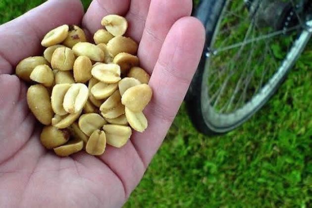 【圖】抑制DHT的食物：花生