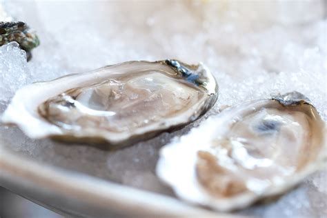 【圖】頭髮生長食物之牡蠣