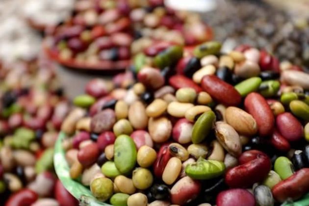 【圖】高纖維和高鈣的食物