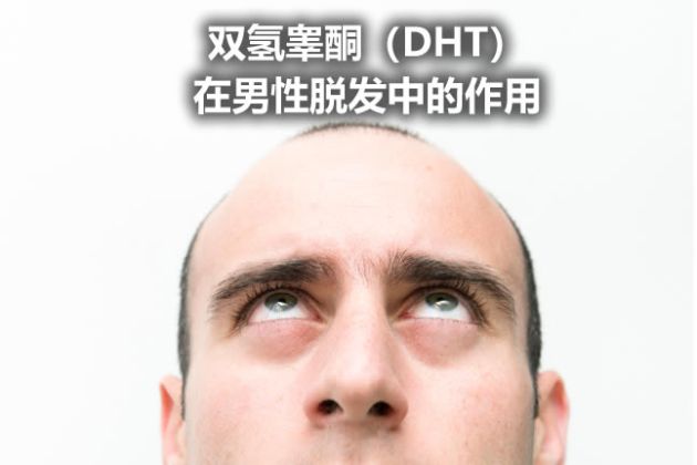 【圖】雙氫睾酮（DHT）在男性脱髮中的作用