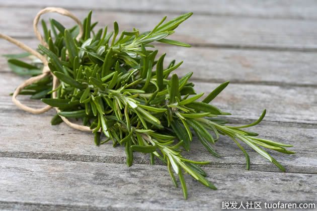 【圖】百里香的好處