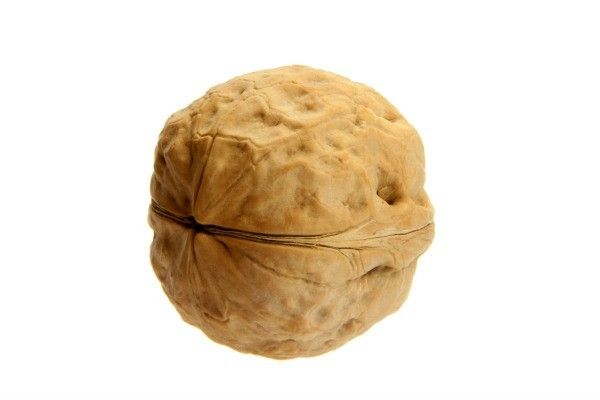 【圖】如何用核桃殼製作染髮劑