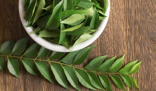 【圖】咖喱葉煮水可起到烏髮的效果