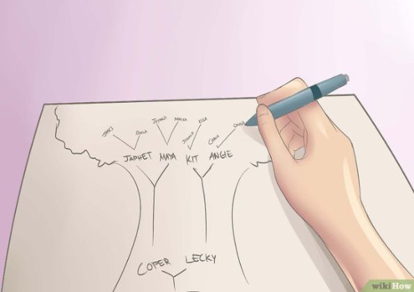 【圖】脱髮是從母親的父親那裏來的嗎?