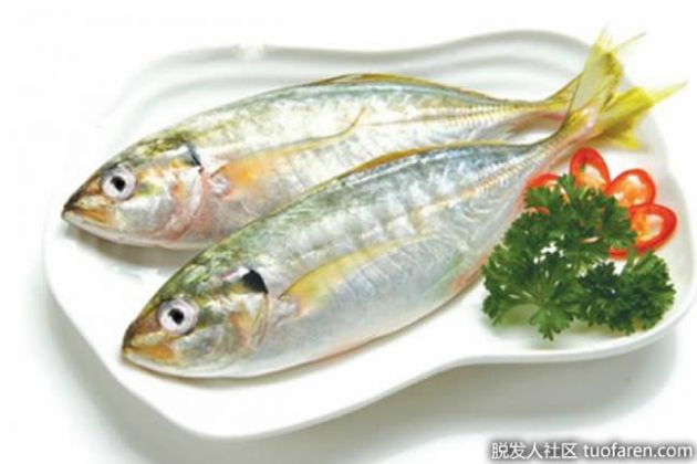 【圖】什麼魚含有碘？