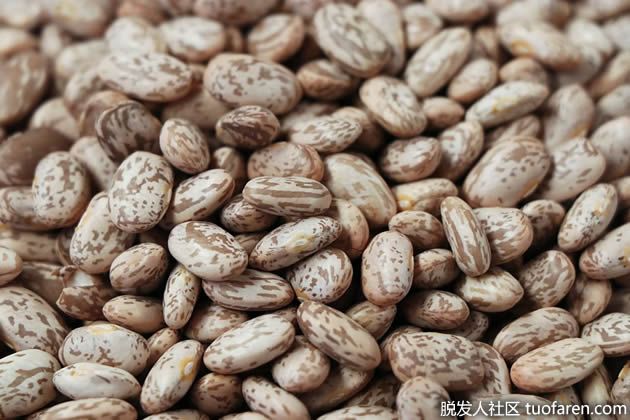 【圖】斑豆的好處