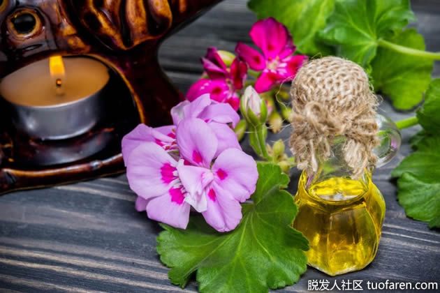 【圖】天竺葵精油的好處