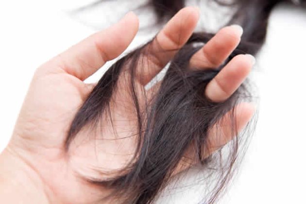 【圖】鋅如何幫助頭髮生長?