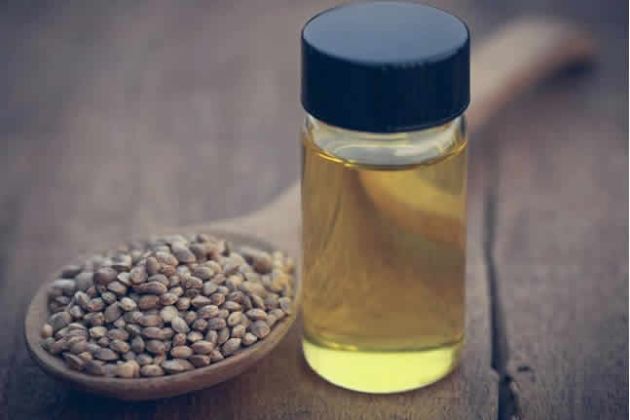 【圖】CBD油對頭髮生長有好處嗎?