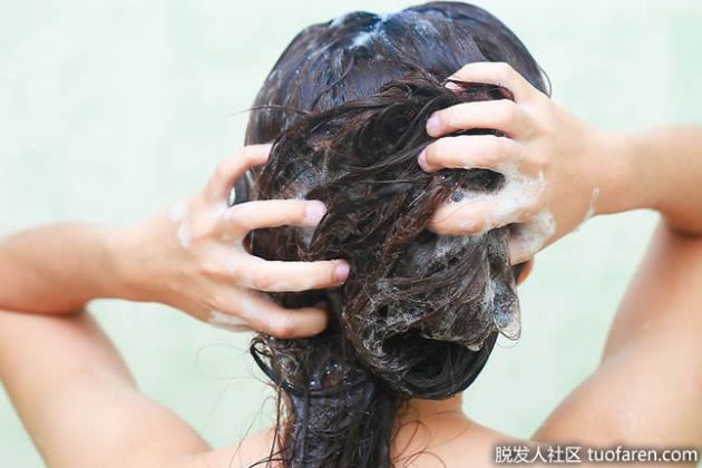 【圖】針對常見頭髮問題的洗髮水