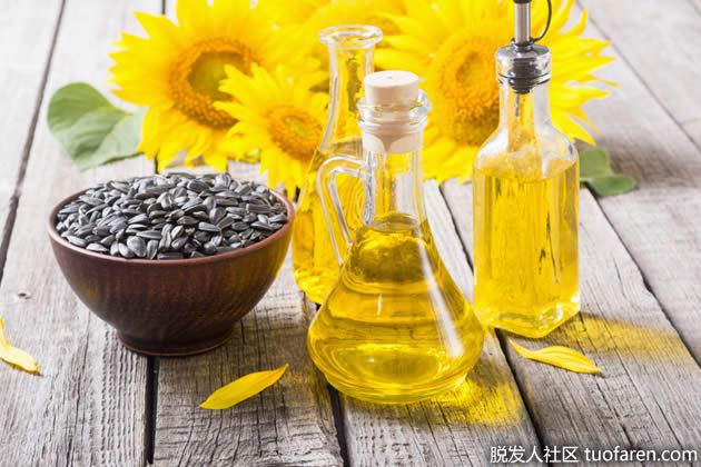 【圖】葵花籽油的三大用途