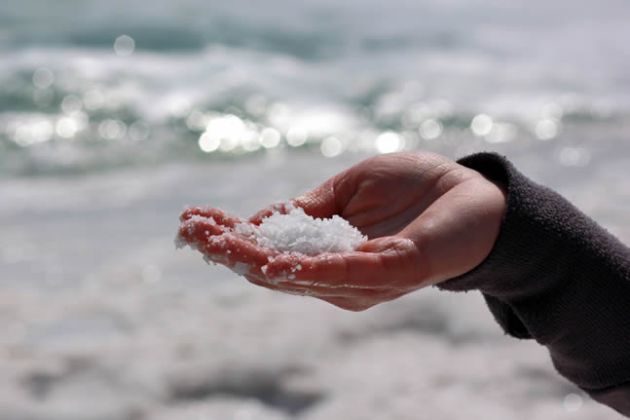 【圖】如何用海鹽殺死毛囊真菌