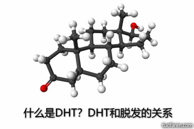 【圖】什麼是DHT？DHT和脱髮的關係