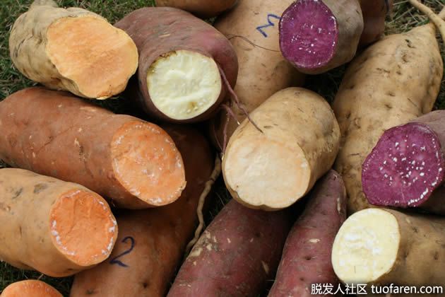 【圖】甘薯的好處