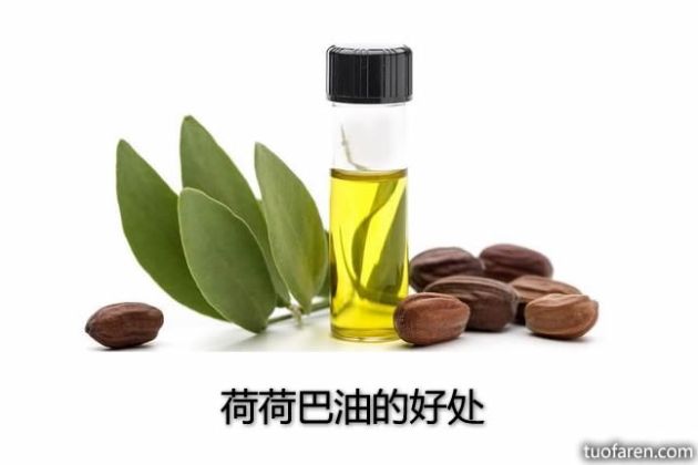 【圖】荷荷巴油的好處