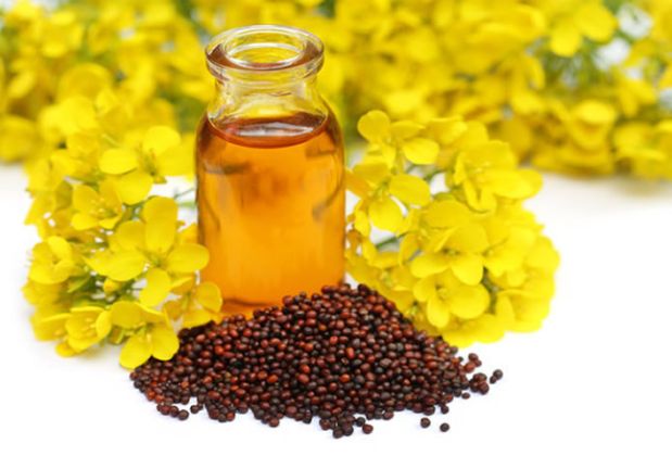 【圖】芥末油對頭髮的好處