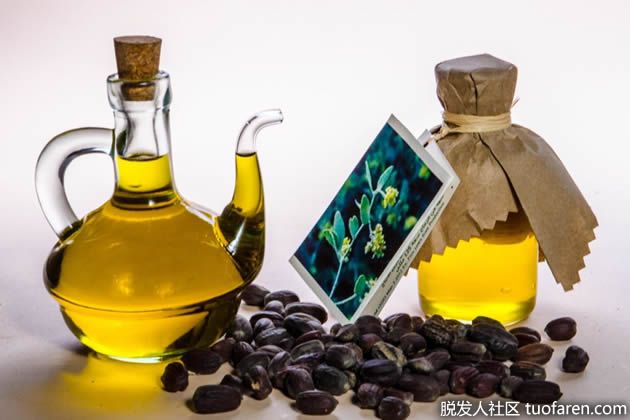 【圖】荷荷巴油對頭髮和頭皮的好處