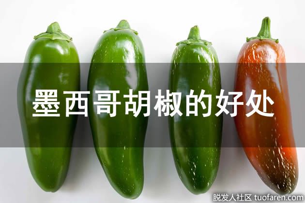【圖】墨西哥胡椒的好處