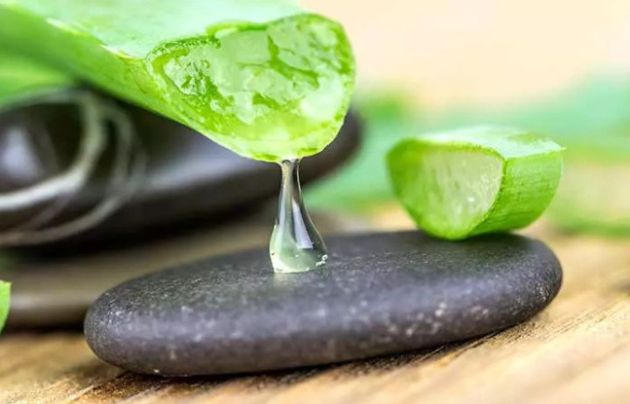 【圖】蘆薈治療脱髮的步驟