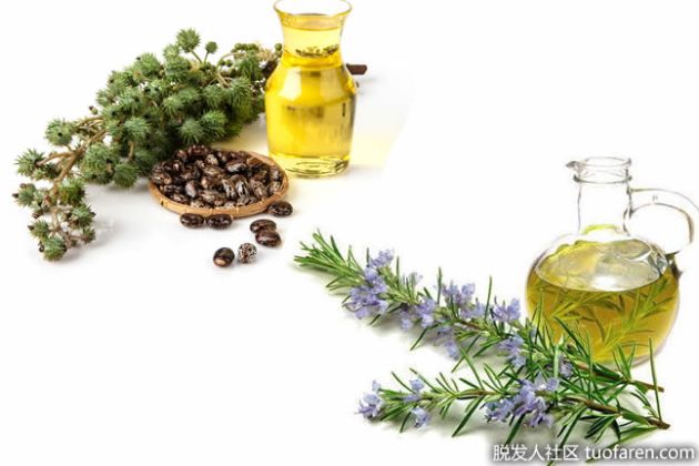 【圖】蓖麻油和迷迭香精油怎麼塗頭髮