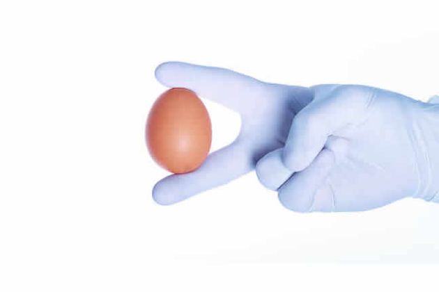 【圖】如何使用雞蛋促進頭髮生長