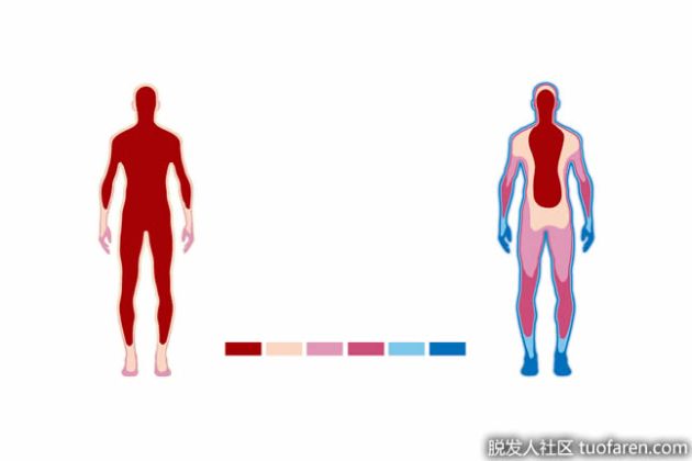 【圖】血管舒張是如何維持體温的？