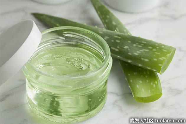 【圖】蘆薈凝膠去頭屑