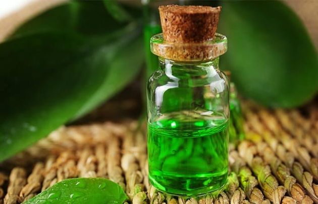 【圖】茶樹油洗髮水的好處及製作方法