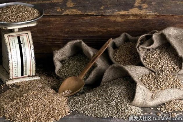 【圖】什麼食物含有谷蛋白？