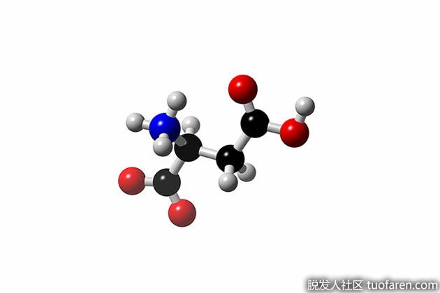 【圖】氨基酸對健身的7個主要好處
