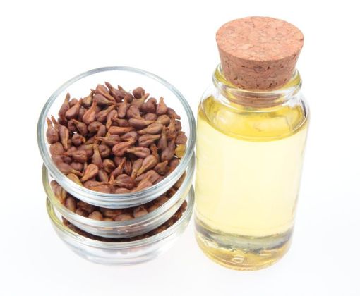 【圖】葡萄籽油對頭髮的作用