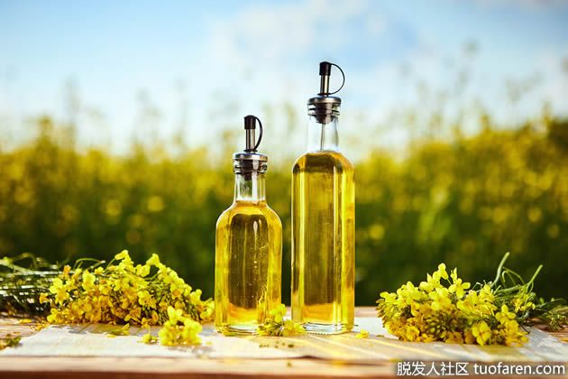 【圖】菜籽油對你有害嗎？