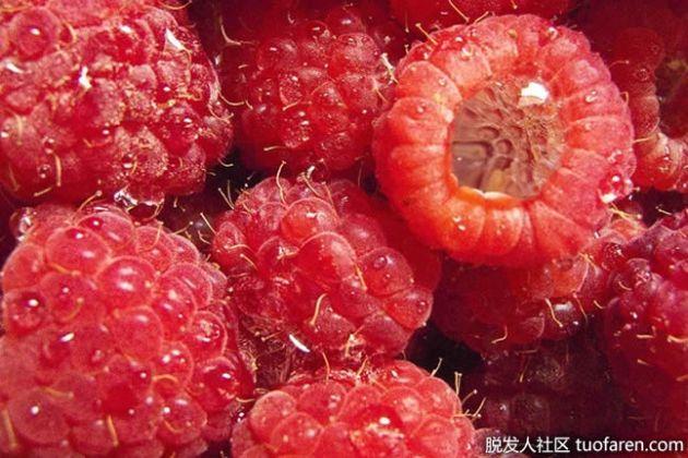 【圖】為什麼樹莓有毛？